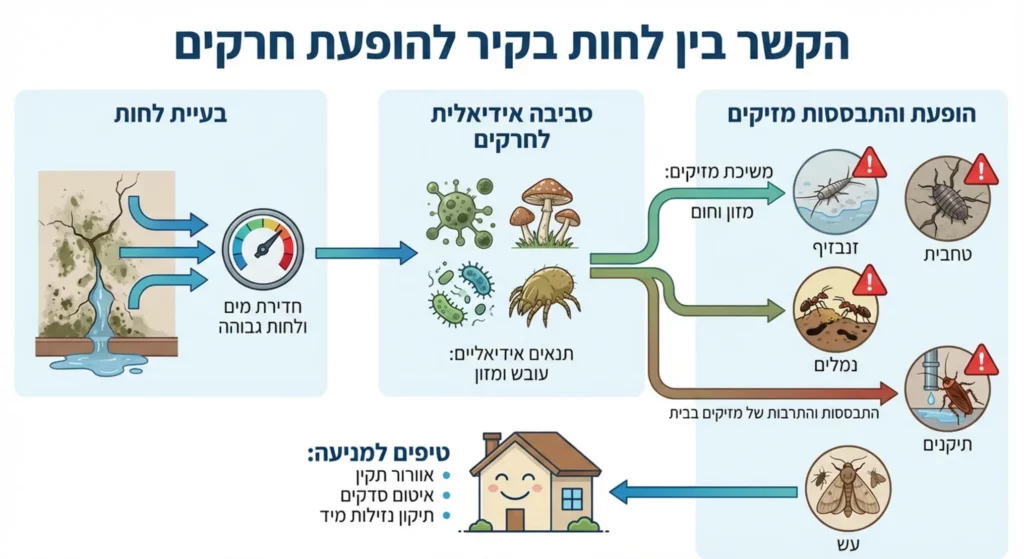 איור תרשים המציג את הקשר בין לחות, גורמים ביולוגיים ומזיקים בבית.