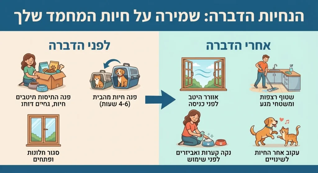 הכנות לגירוש חיות מחמד: לפני ואחרי הדברה.