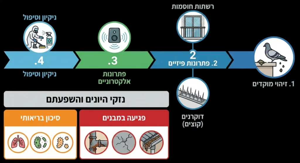 איור תהליך הדברת יונים הכולל פתרונות, סיכונים וניקיון.
