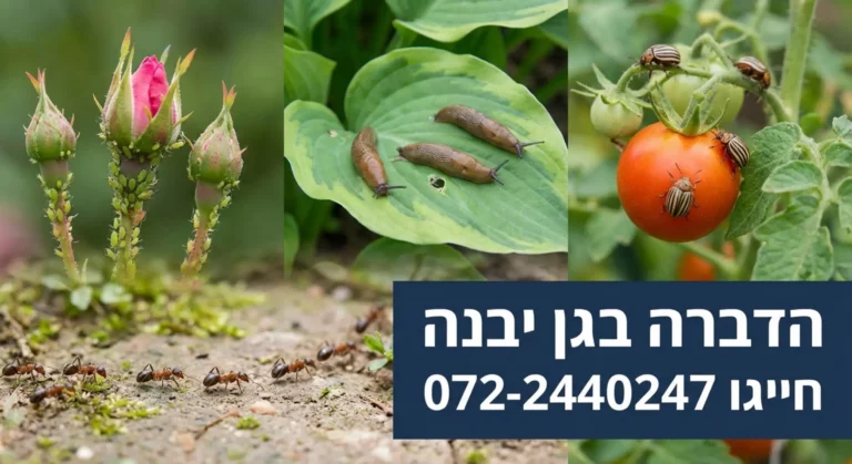 שירותי הדברה נגד מזיקים בגינה: פשפשים, חלזונות וחיפושיות.