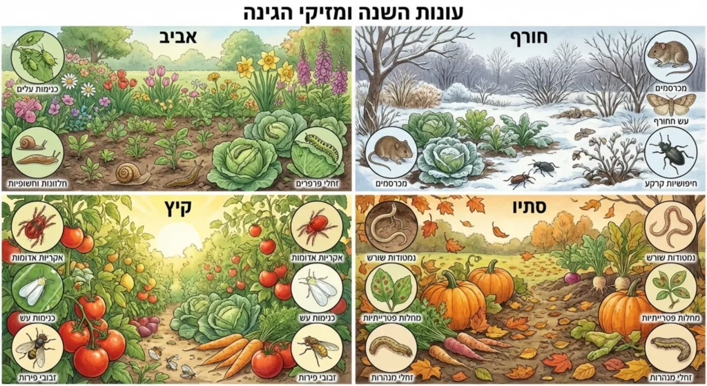 הדברת מזיקים בגינה עונות השנה: אביב, קיץ, סתיו, חורף.