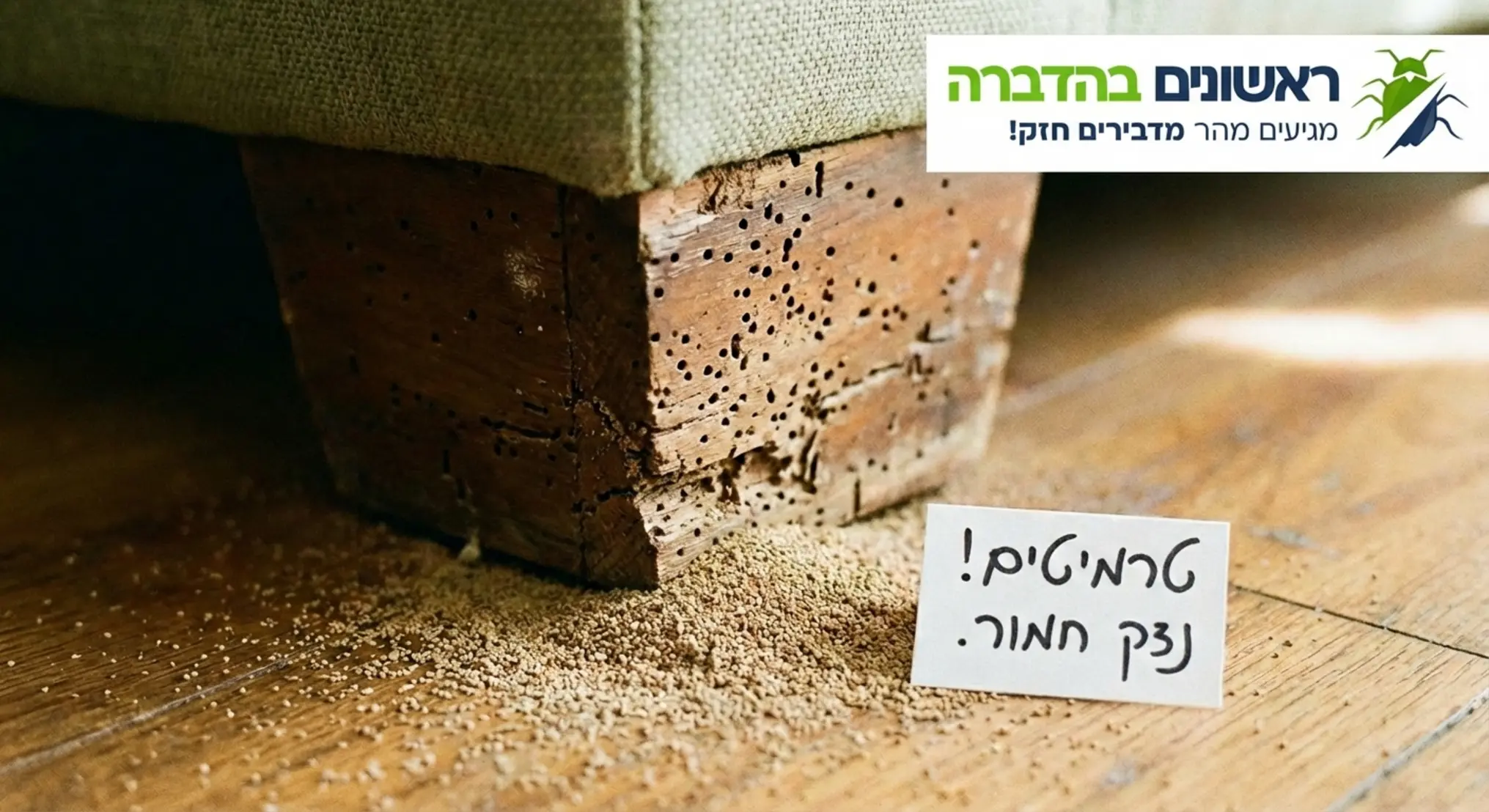 תקריב של רגל ספה מעץ עם חורים קטנים וערימת גרגרים קטנים דמויי חול מתחתיה המעידים על הימצאות טרמיטים