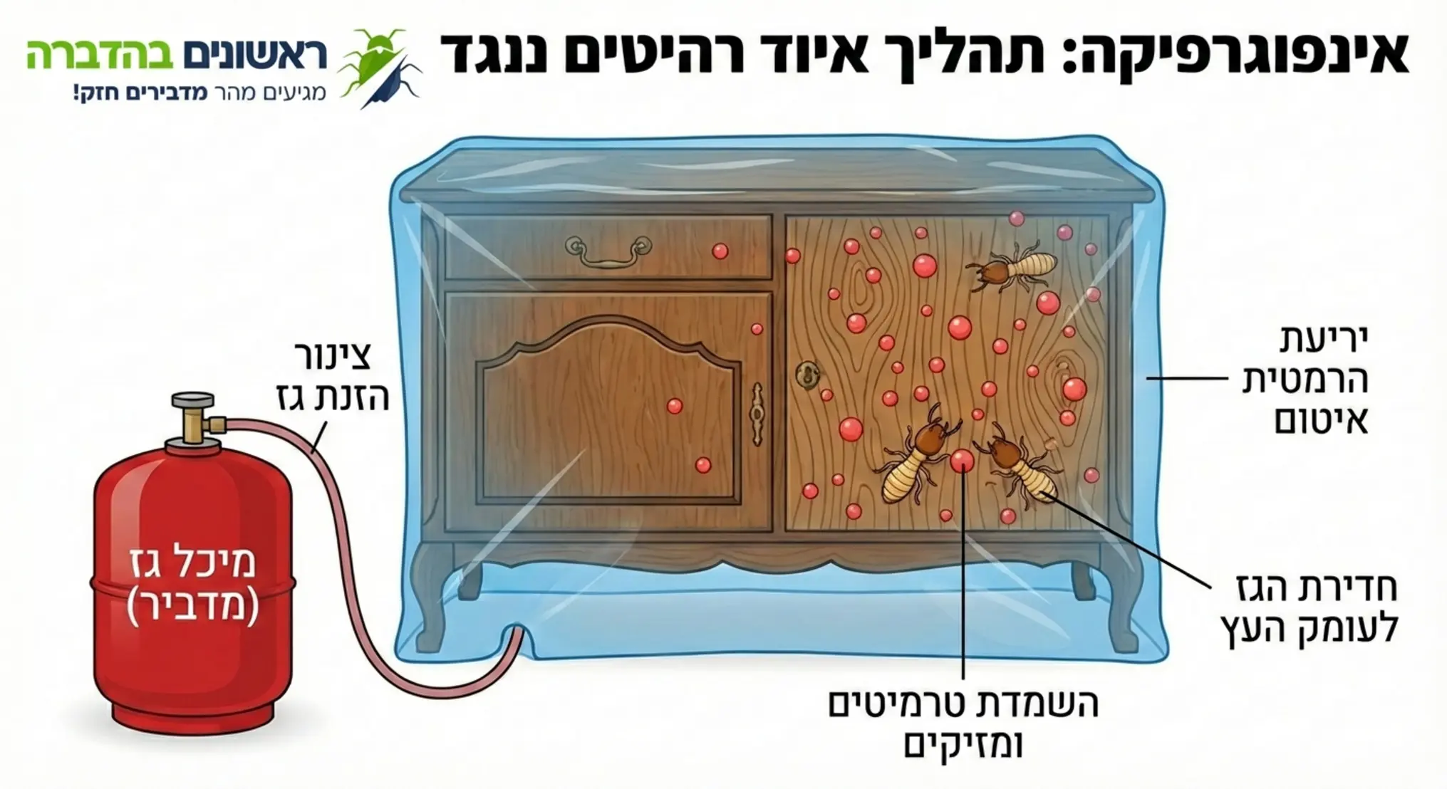 אינפוגרפיקה המדגימה את תהליך האיוד: רהיט עטוף ביריעה הרמטית, מיכל גז מחובר בצינור, ובועות גז חודרות לעומק העץ ומשמידות את הטרמיטים