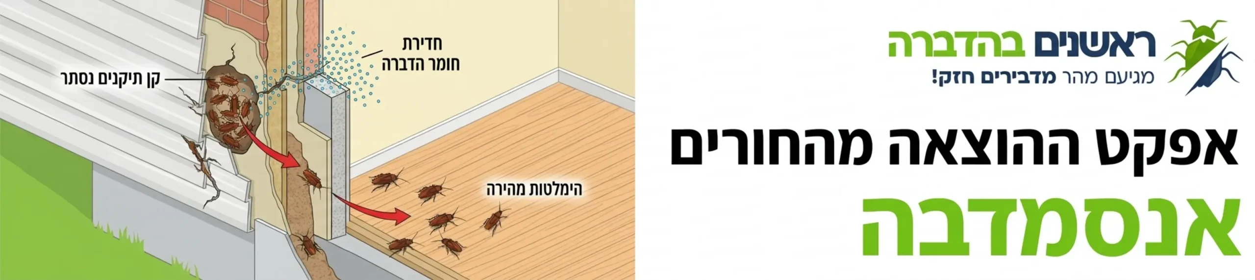 אינפוגרפיקה המציגה חתך קיר ובו קן ג'וקים, כאשר רואים חלקיקי ריסוס חודרים פנימה וחיצים המראים את הג'וקים בורחים החוצה אל רצפת הבית תחת הכותרת אפקט ההוצאה מהחורים