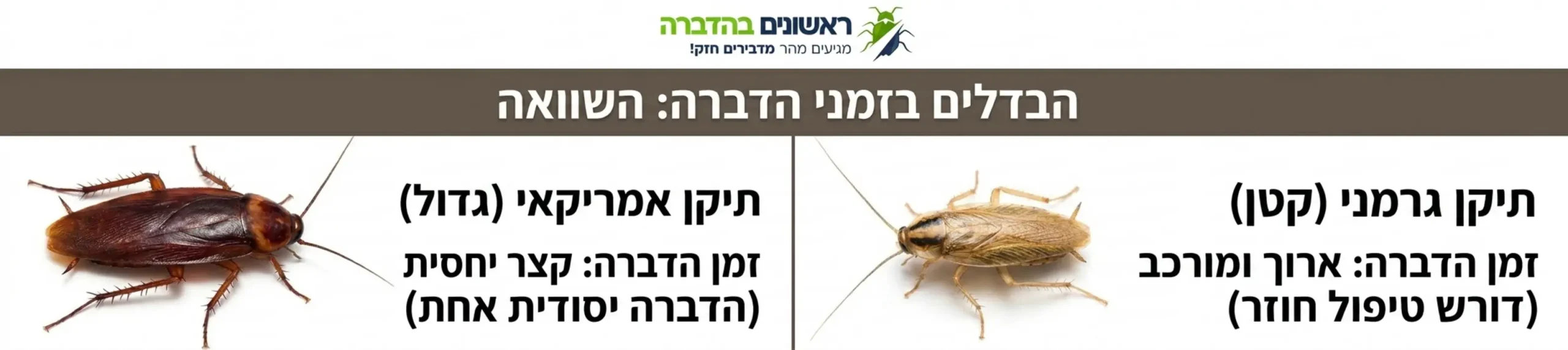 תמונה מפוצלת המראה בצד אחד תיקן אמריקאי גדול ובצד השני תיקן גרמני קטן ובהיר יותר, עם כיתוב המדגיש את ההבדלים בזמני ההדברה שלהם