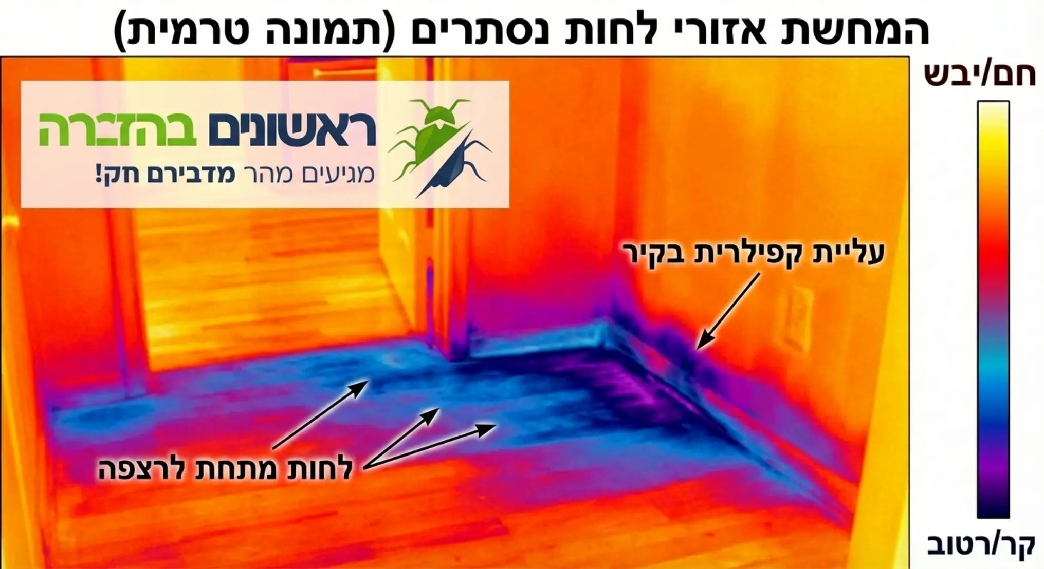 טרמוגרמה של מצלמה טרמית המראה אזורים קרים ורטובים מתחת לרצפות ובתחתית הקירות בבית מגורים, להמחשת אזורי הלחות הנסתרים שהעין אינה רואה