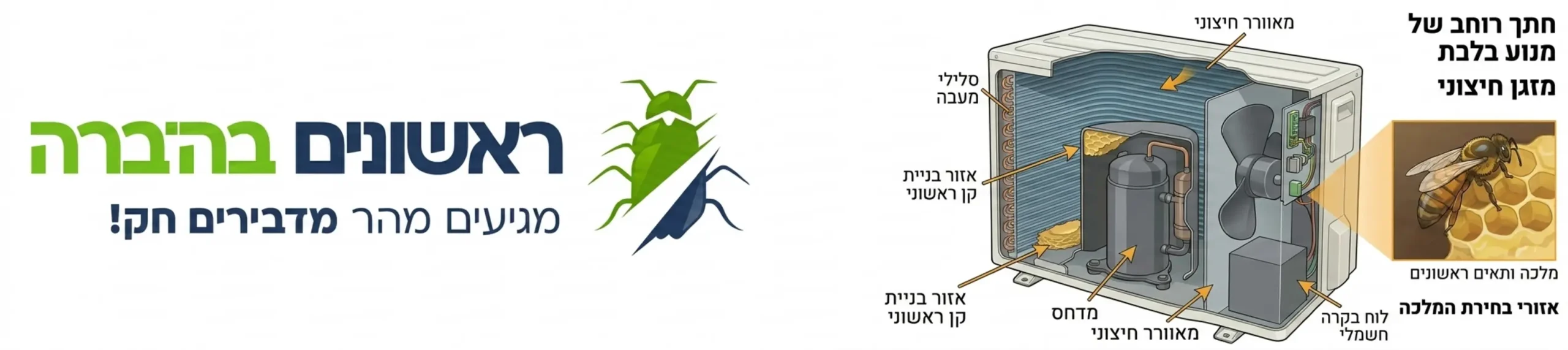 אינפוגרפיקה המראה חתך רוחב של מנוע מזגן חיצוני ומדגימה את האזורים המדויקים בהם המלכה בוחרת להתחיל לבנות את התאים הראשונים של המושבה