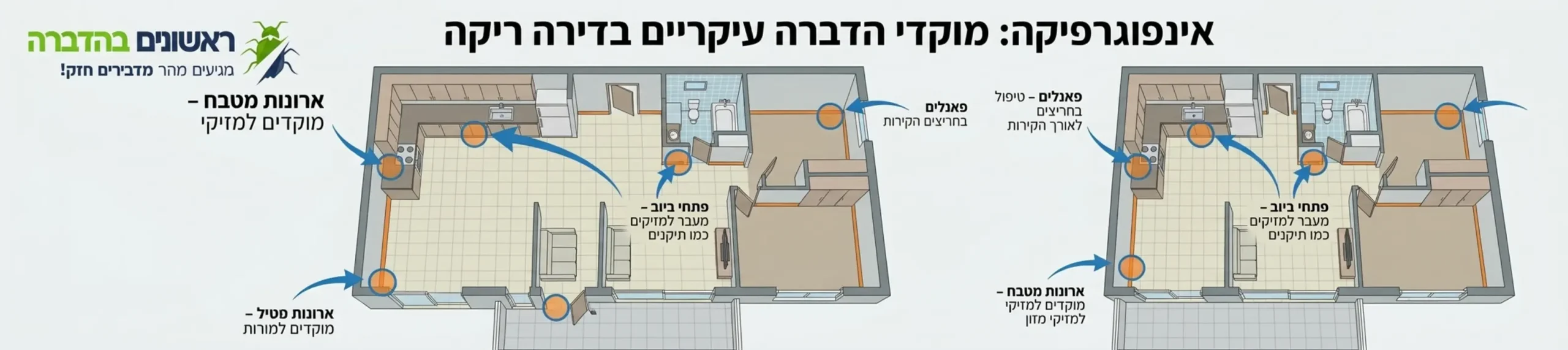 אינפוגרפיקה המציגה תרשים של דירה ריקה עם סימון של מוקדי הדברה עיקריים כמו פאנלים, ארונות מטבח ופתחי ביוב