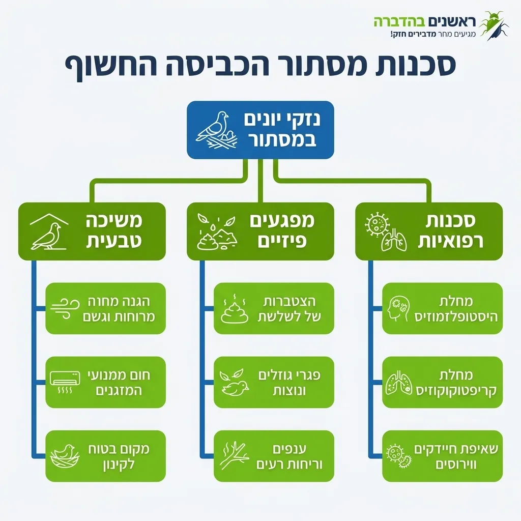 אינפוגרפיקה — סכנות מסתור הכביסה החשוף: נזקי יונים במסתור