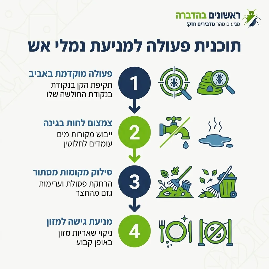 אינפוגרפיקה — תוכנית פעולה למניעת נמלי אש: פעולה מוקדמת באביב, צמצום לחות בגינה, סילוק מקומות מסתור, מניעת גישה למזון