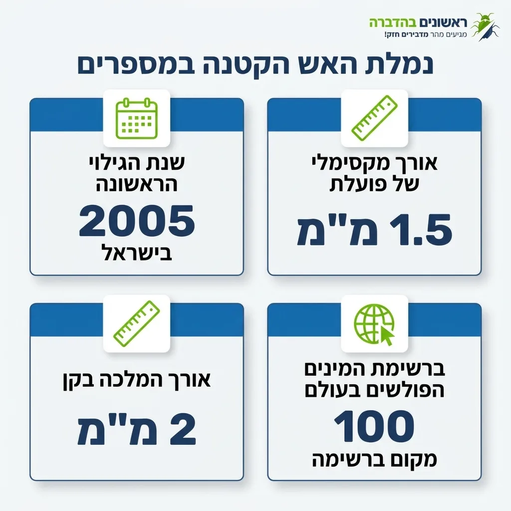 אינפוגרפיקה — נמלת האש הקטנה במספרים: שנת הגילוי הראשונה בישראל, אורך מקסימלי של פועלת, אורך המלכה בקן, ברשימת המינים הפולשים