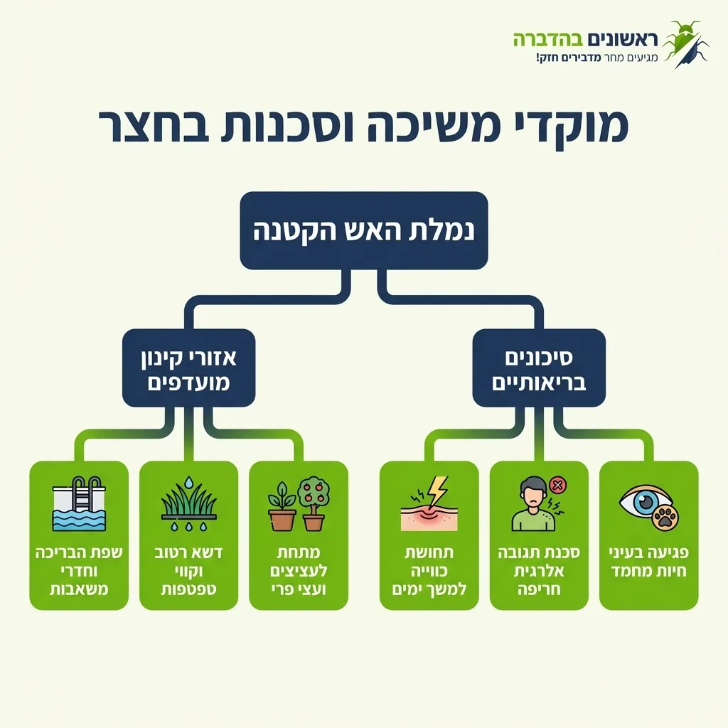 אינפוגרפיקה — מוקדי משיכה וסכנות בחצר: נמלת האש הקטנה